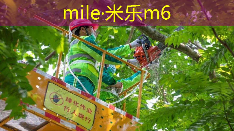 米乐：网球拍草莓拍哪个好用点
