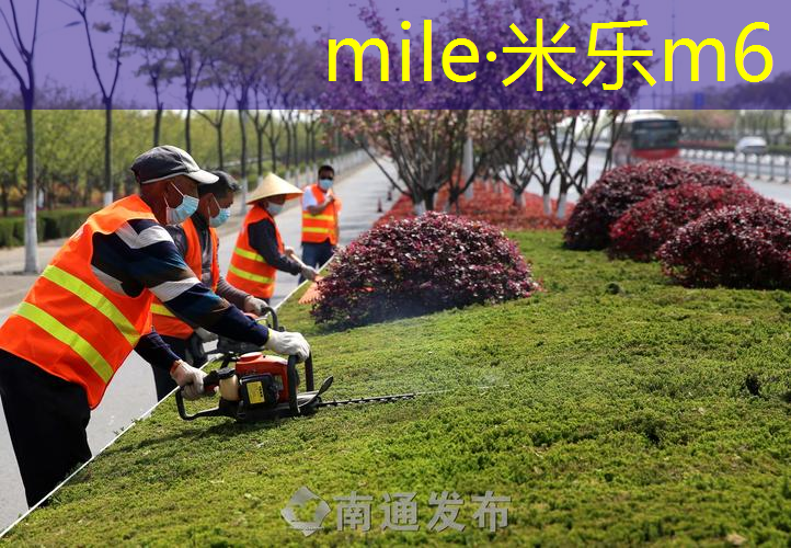 mile·米乐m6：两百元内网球拍