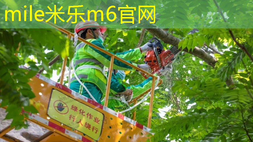 米乐：一号柄碳纤维网球拍