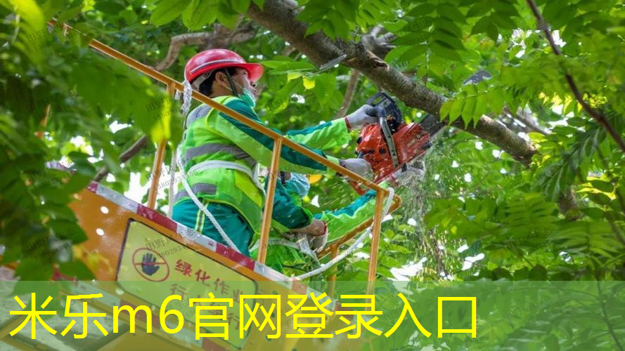 mile米乐m6官网：网球拍单人训练器整套