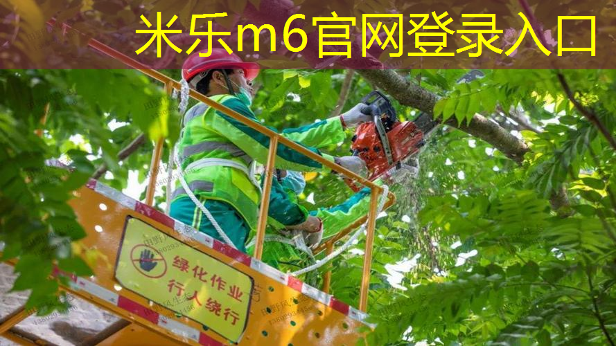 米乐：网球拍握把怎么分左右的