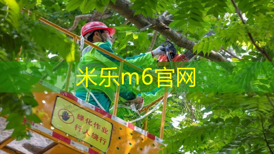 米乐m6官网：网球拍有没有穿网线的区别