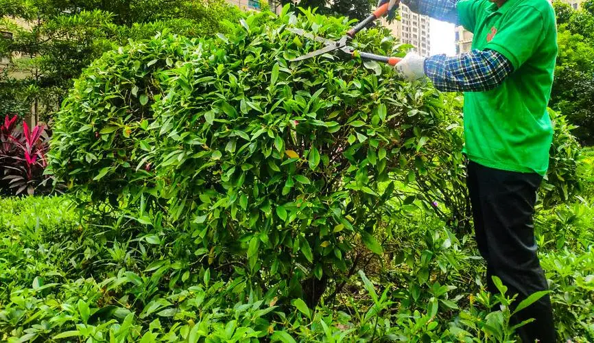 mile米乐m6官网：适合装网球拍的单肩包