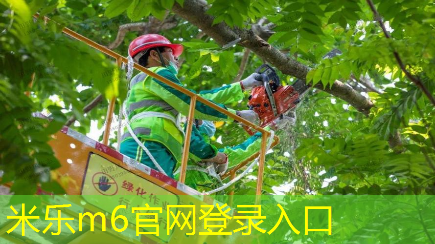 有什么性价比的网球拍好用