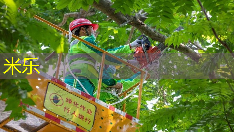 网球拍握把怎么分左右的