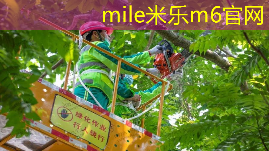 网球拍有没有穿网线的区别